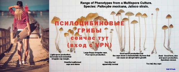 марки lsd Балахна